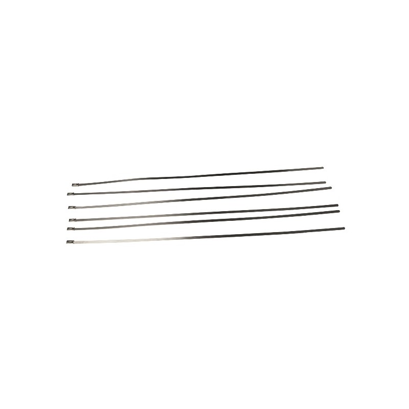 Pack 6 Colliers Inox - 200mm x 4.6mm