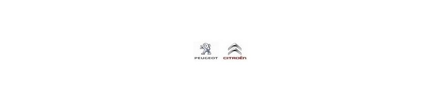 Peugeot / Citroen